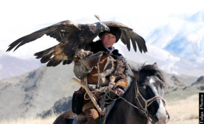 Golden Eagle Hunter