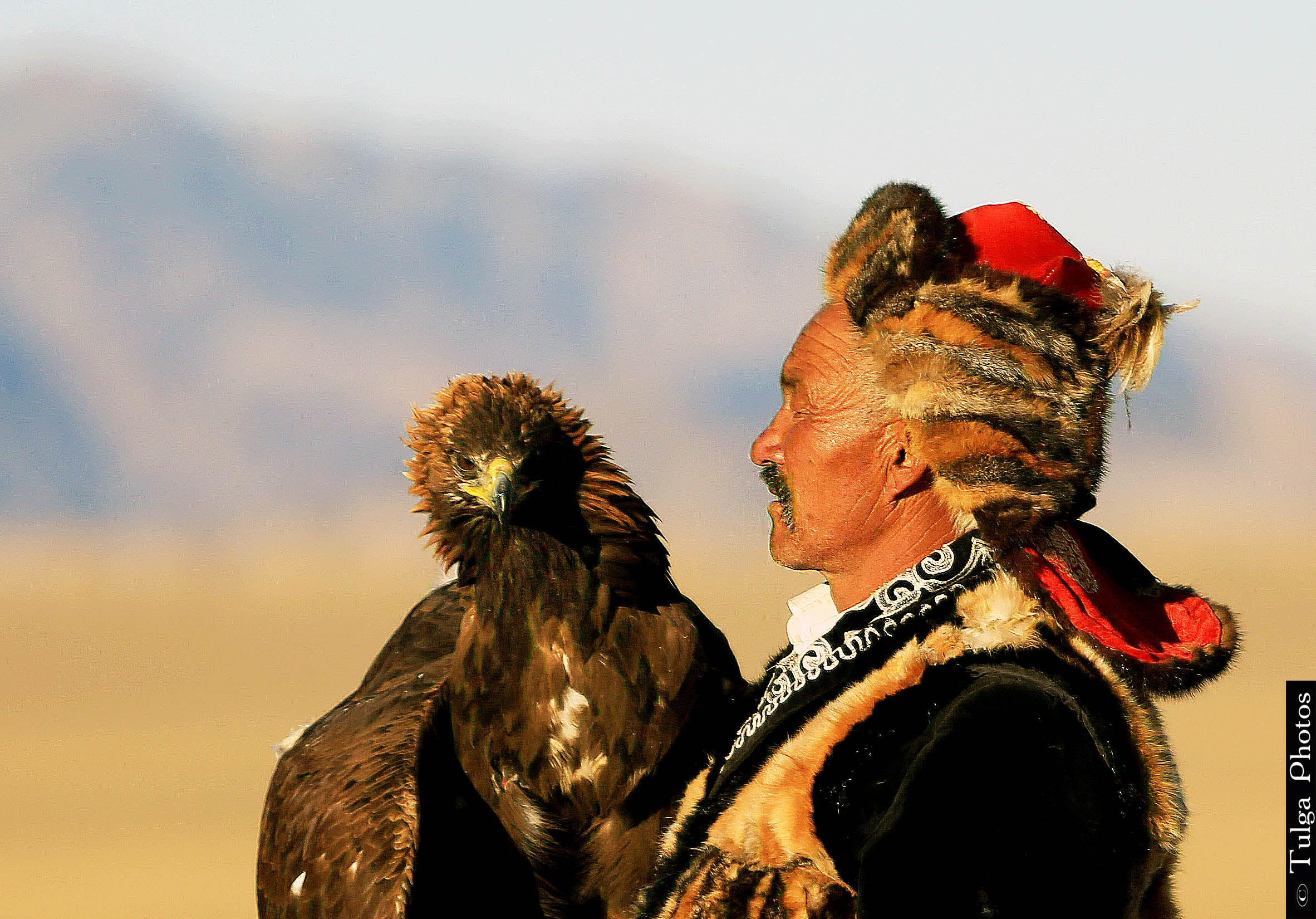 Golden Eagle Festival 2019 Photo Tour Organized By Nomadic