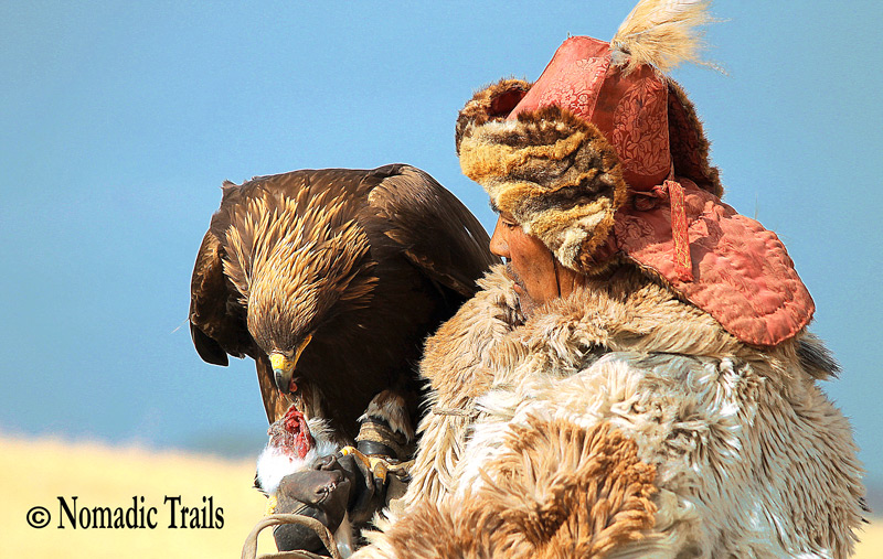 Photographing Mongolia An Expedition To The Golden Eagle