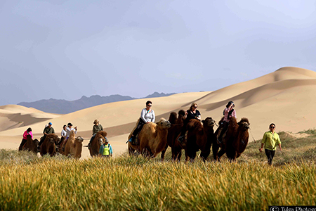 Riding camels on Gobi Tour in Mongolia