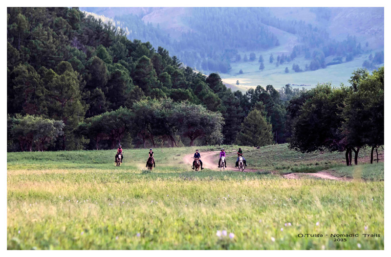 Horse galloping travelers in Mongolia