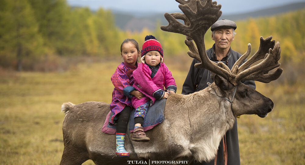 Reindeer Herders Tribe Mongolia