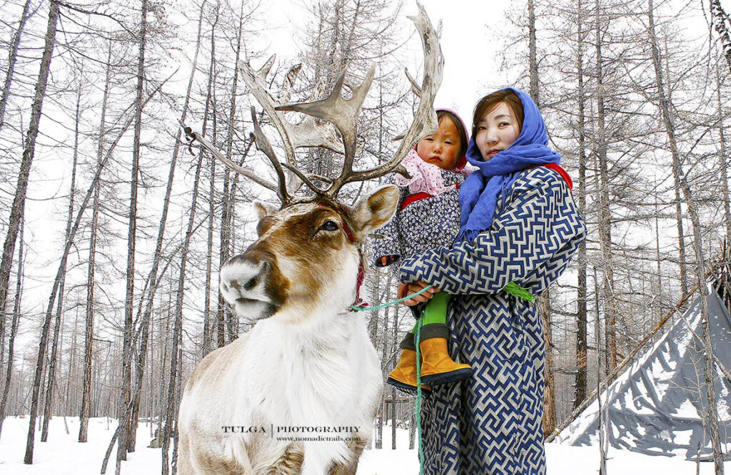 reindeer with mom and baby