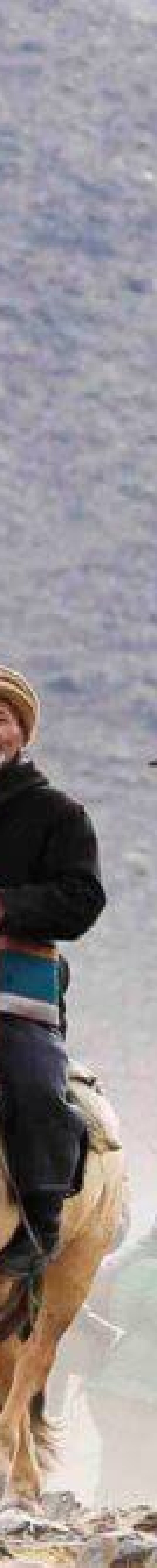 Golden eagle festival parade