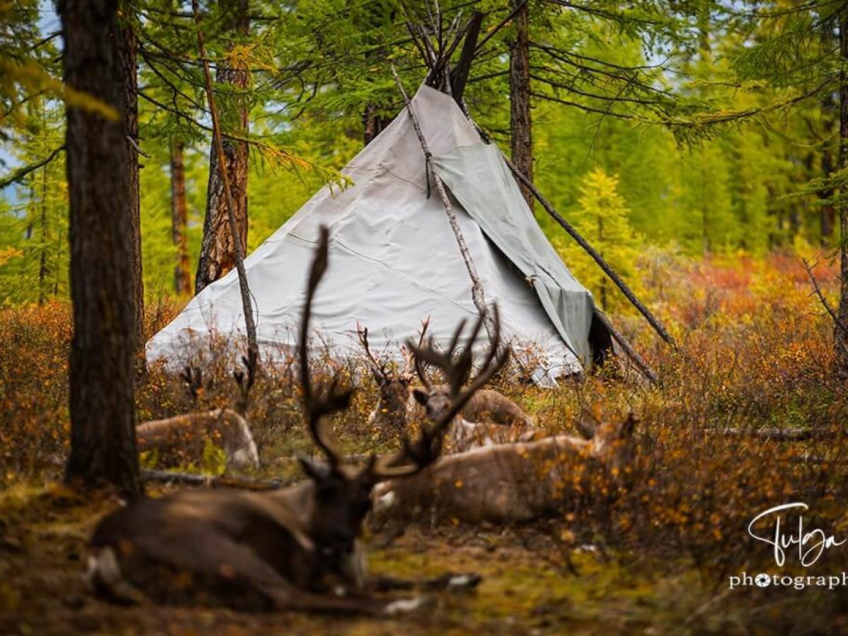 Dukha Reindeer Herders Tour Autumn view with Tee-pee