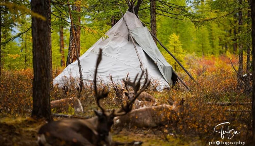 Dukha Reindeer Herders Tour Autumn view with Tee-pee