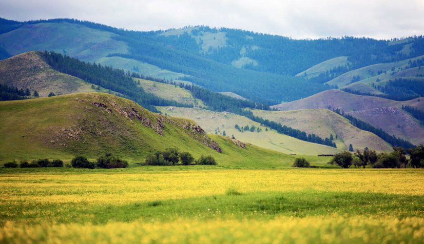 Central Mongolia