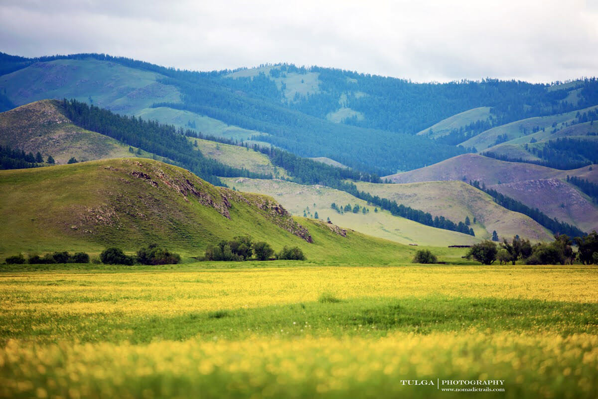 Central Mongolia