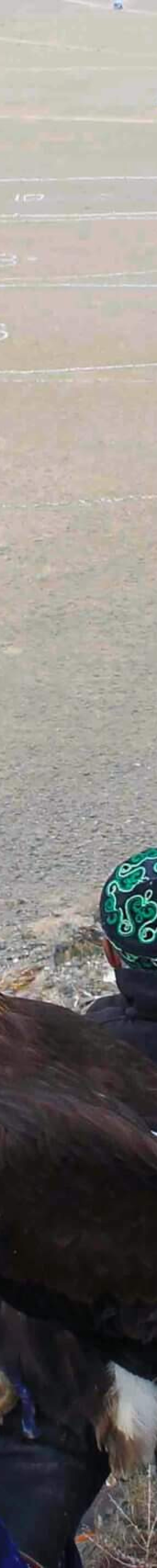 Main Golden Eagle Festival tour