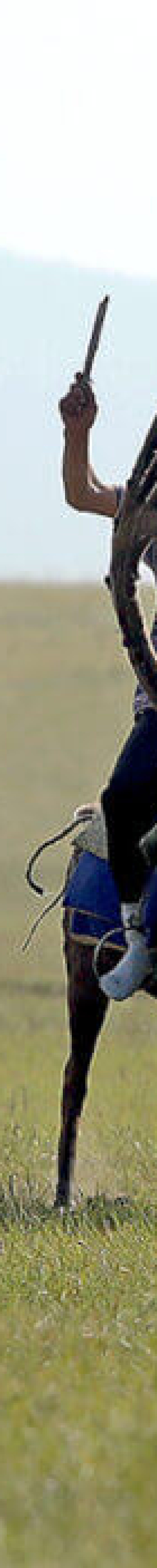 Giant antlers of a deer at 2019 Reindeer Festival