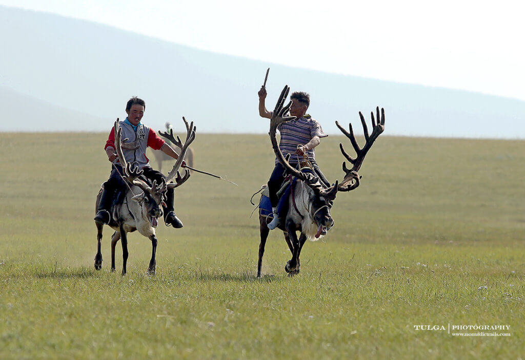 Giant antlers of a deer at 2019 Reindeer Festival