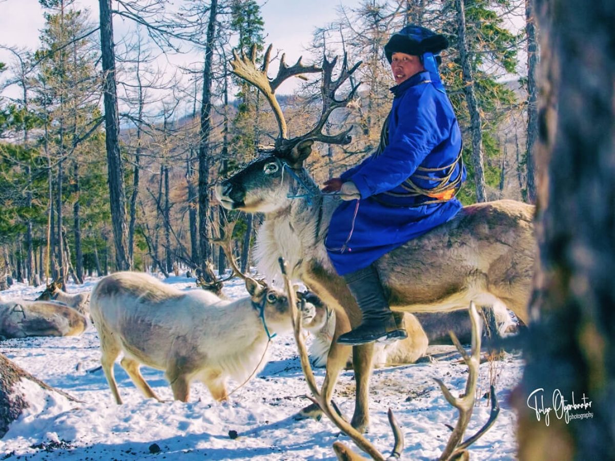 Mongolian Dukha Kope riding reindeer