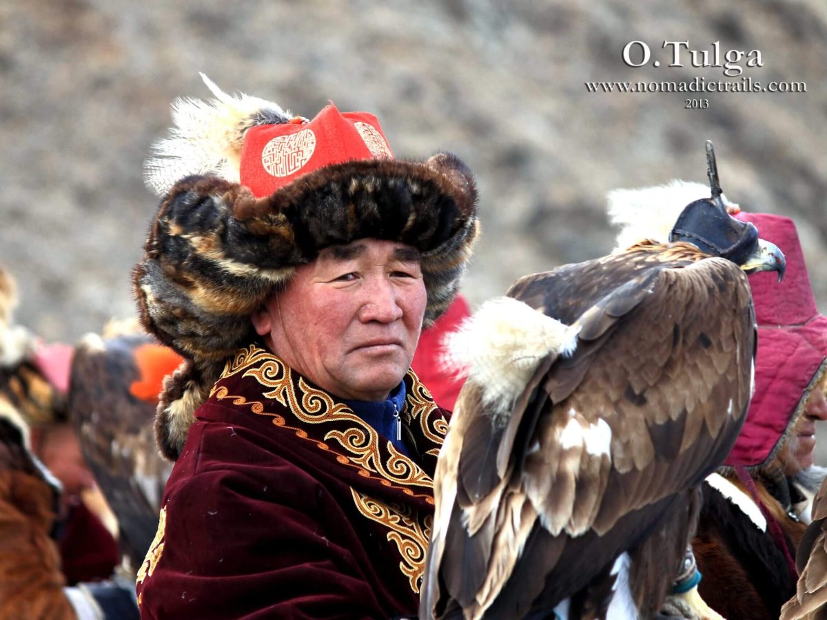 Old Eagle Hunter with his eagle at Eagle Festival Mongolia