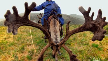 Reindeer Tribe Mongolia
