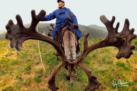 The Best Reindeer Herder photos