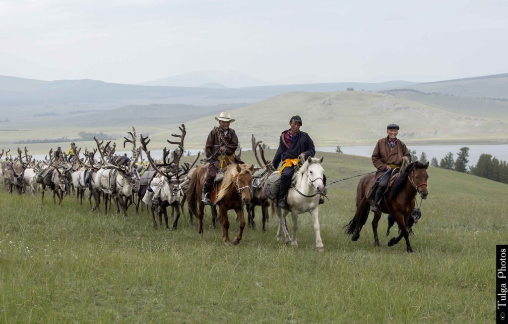 Riding to the Reindeer Festival 2019 Reindeer Festival Mongolia