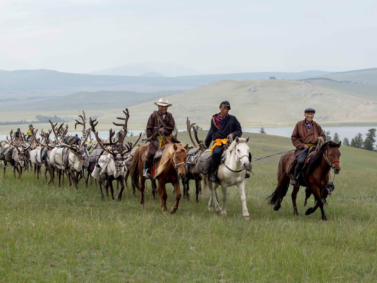 Riding to the Reindeer Festival 2019
