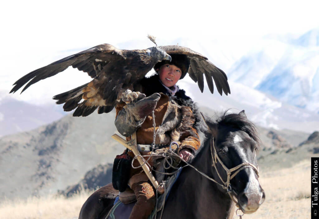 Zamanbul Golden Eagle Huntress horse riding tips