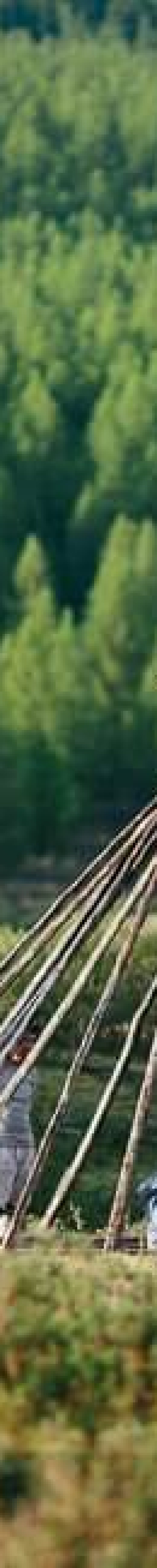 building teepee nomadic culture of Reindeer people