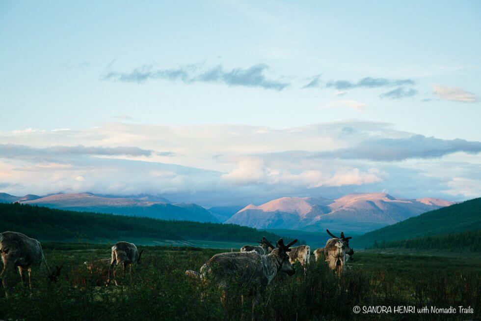 serene view at Taiga reindeer camp - by Sandra Henry blog about Dukha people in Mongolia