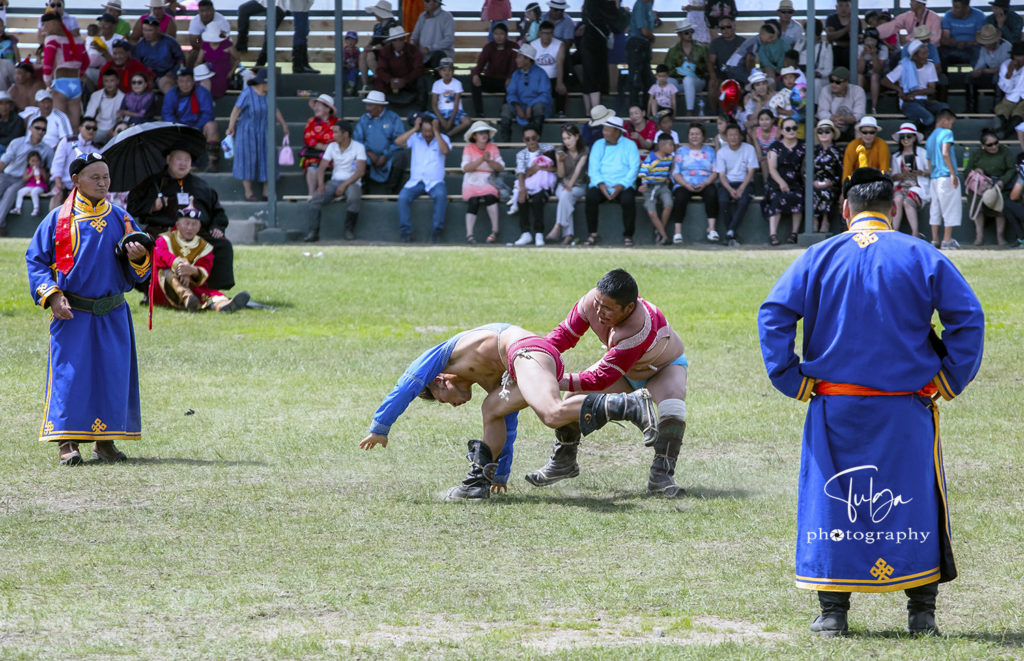 wrestling at naadam festival naadam festival Mongolia