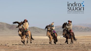 Mongolia Eagle Festival - The Eagle Hunters
