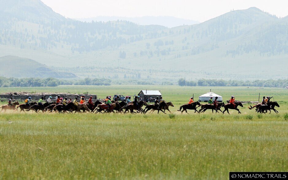 Amidst horse horse during Naadam Festival