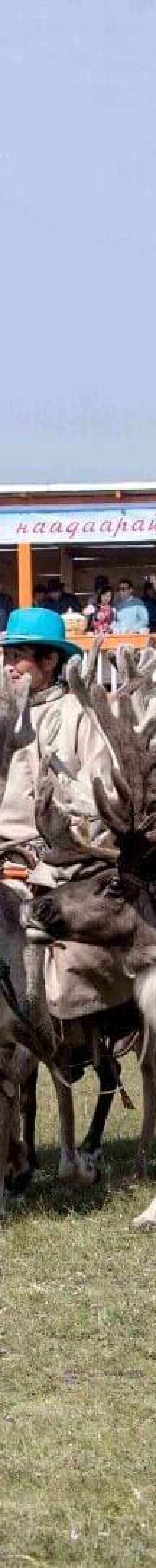 Arriving to the Festival site - Reindeer Festival 2019