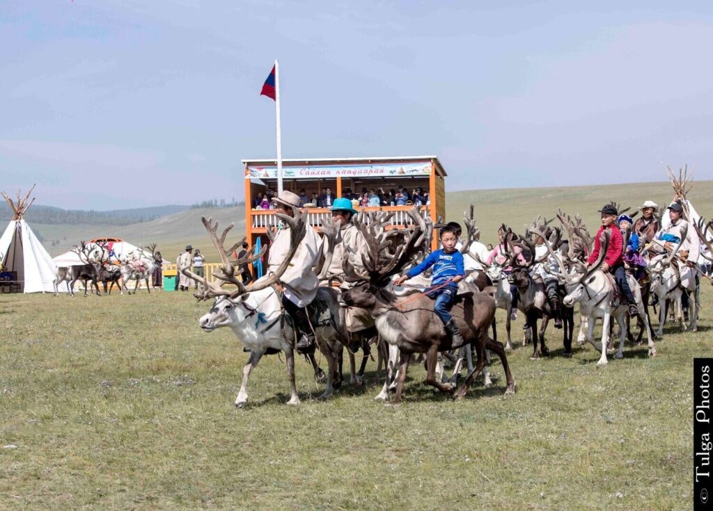 Arriving to the Festival site - Reindeer Festival 2019