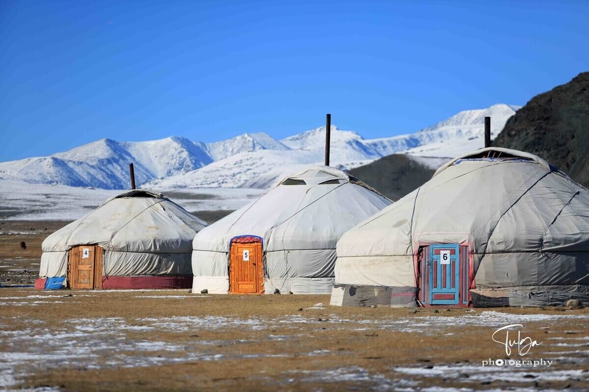 Gers at Golden Eagle Festival Mongolia site