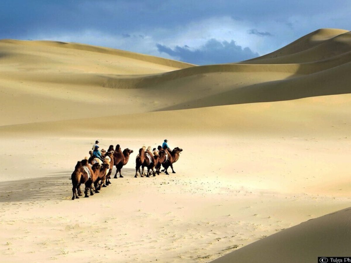 Gobi sand dunes of southern Mongolia