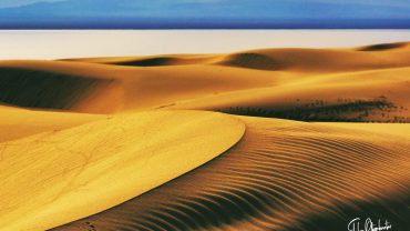 Gobi