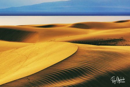 Mongolian Gobi desert facts