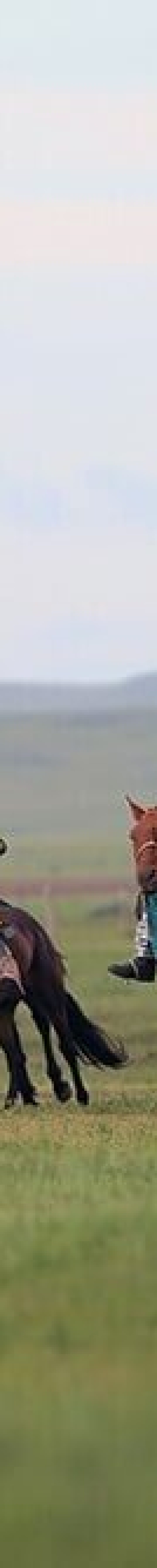 Naadam Festival Mongolian horse race