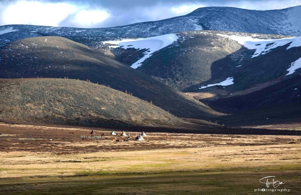 Spring camp of the Mongolian Reindeer Herders