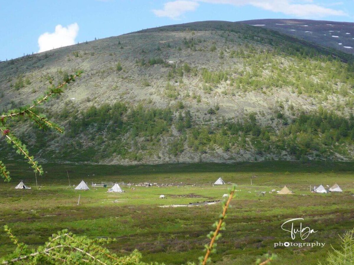 Summer camp of the Dukha Mongolian Reindeer Herders in Taiga