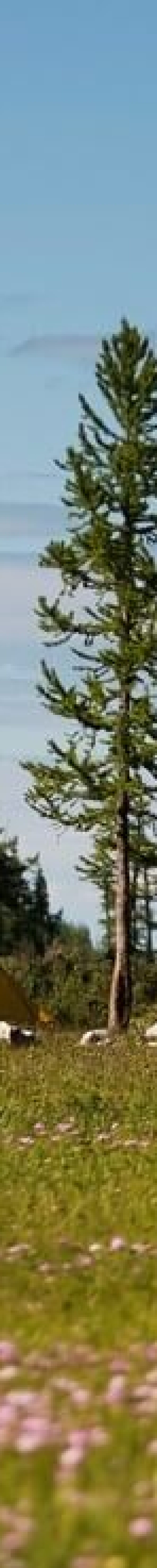 Tented Camping with Nomadic Trails