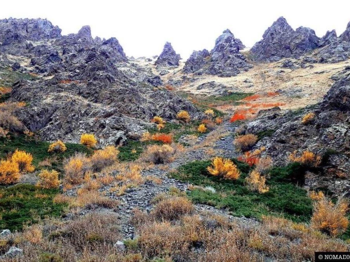 Yolyn am gorge mongolia