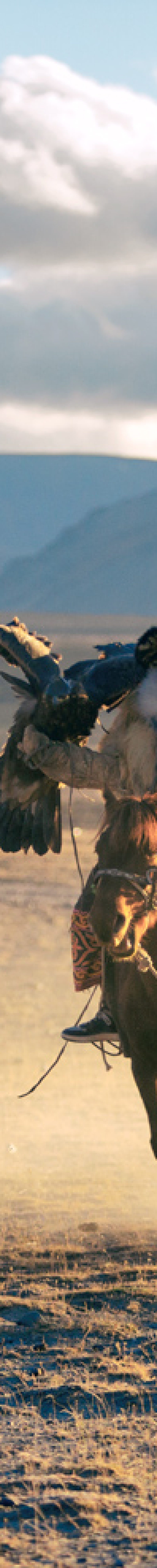 Golden Eagle Hunters