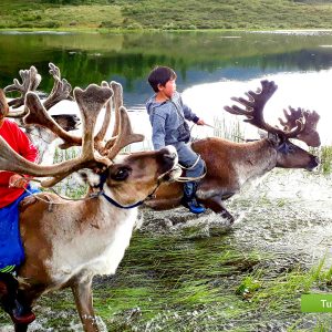 Nomadic Trails