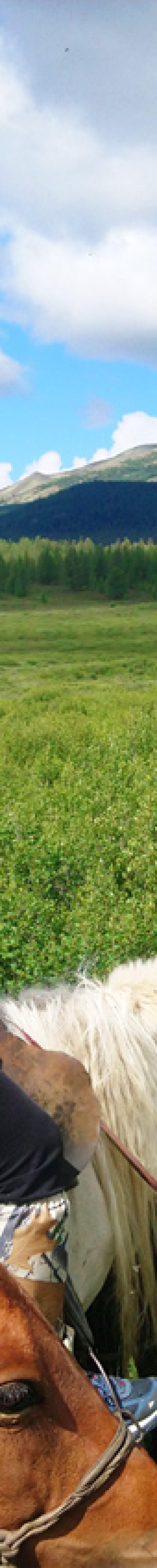 Horse Riding to Taiga, Reindeer Herder's Tribe, Tsaatan, Dukha, Tsaachin