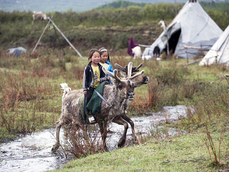 Reindeer Tribe Spring Camp