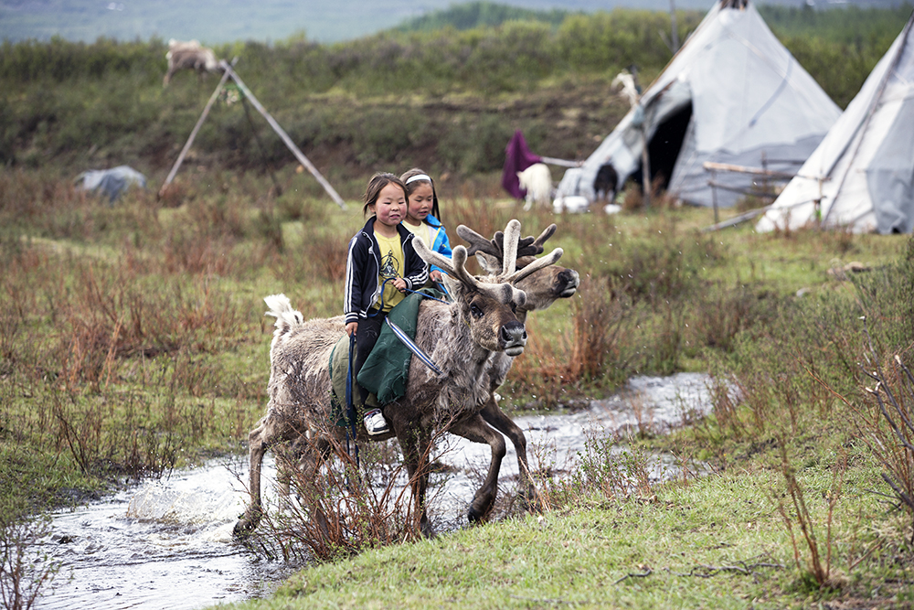 IMG 3495 how to visit the mongolian reindeer herders