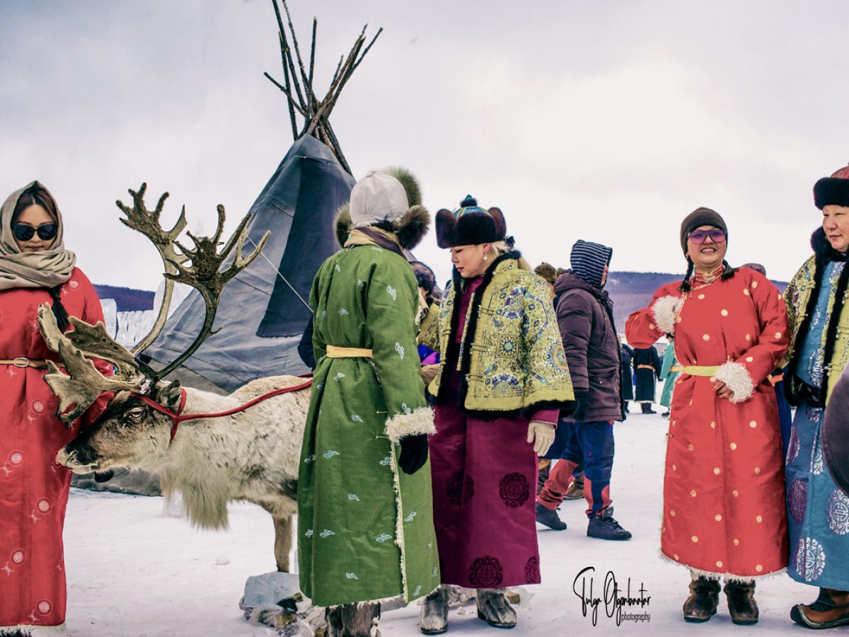 Reindeer at Ice Festival