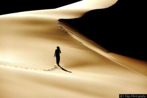 Walking on Sand dunes in Gobi
