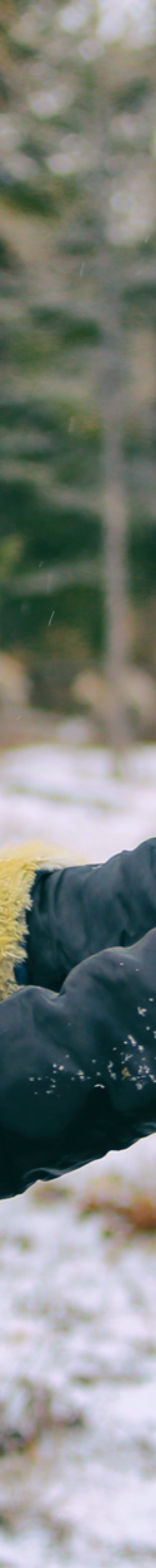 Reindeer Festival Mongolia