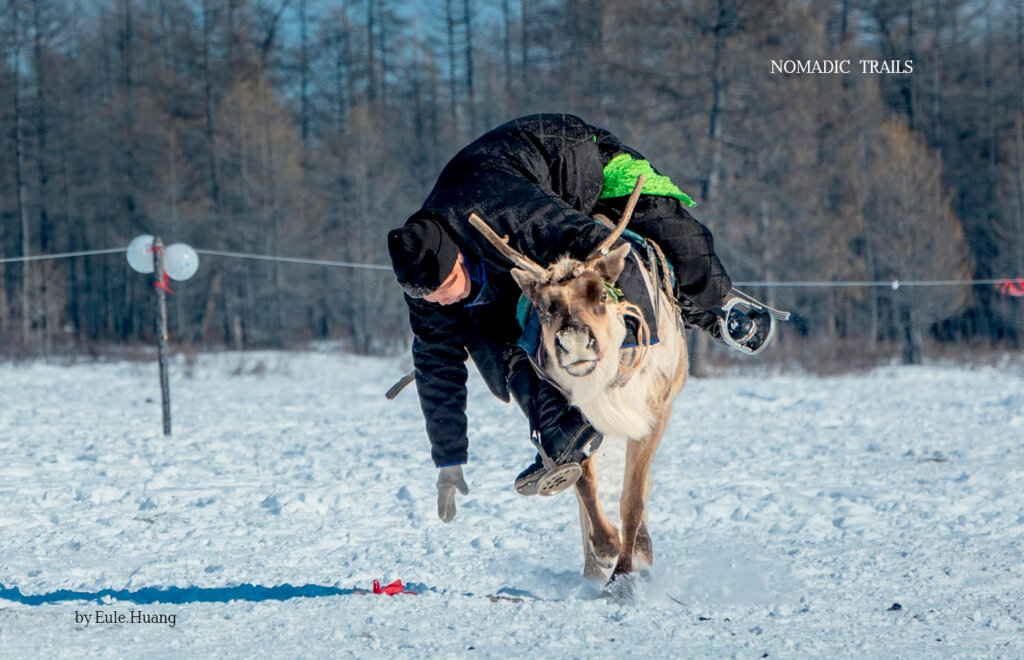 Picking up coin from Reindeer