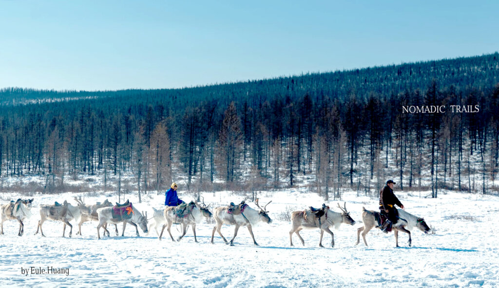 Reindeer Caravan