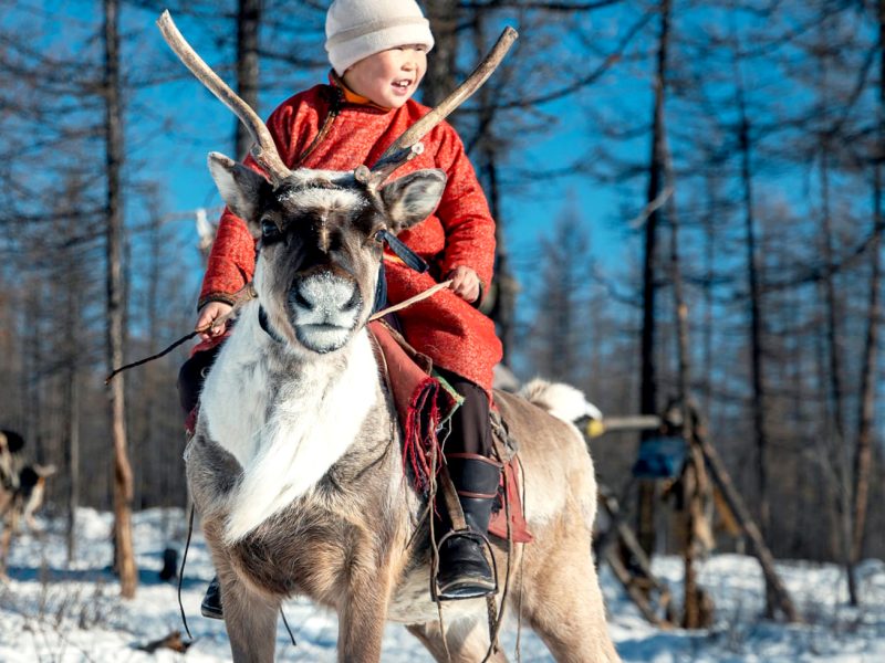 Winter Reindeer Herder