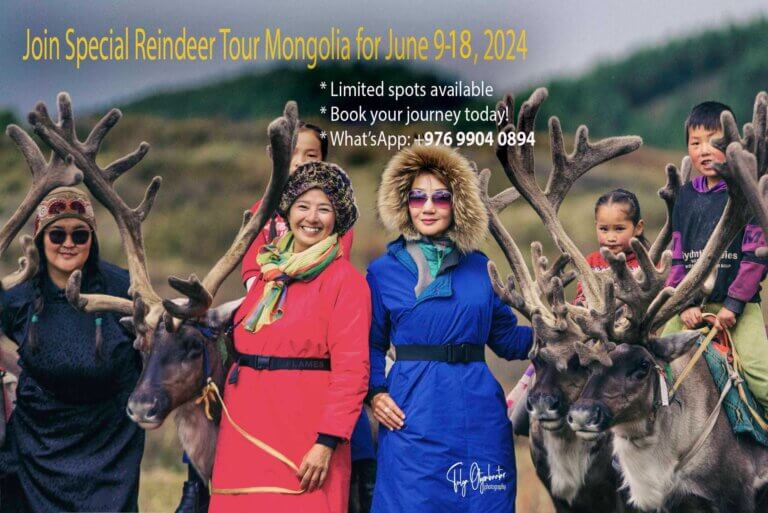 Special Reindeer Tour 2024